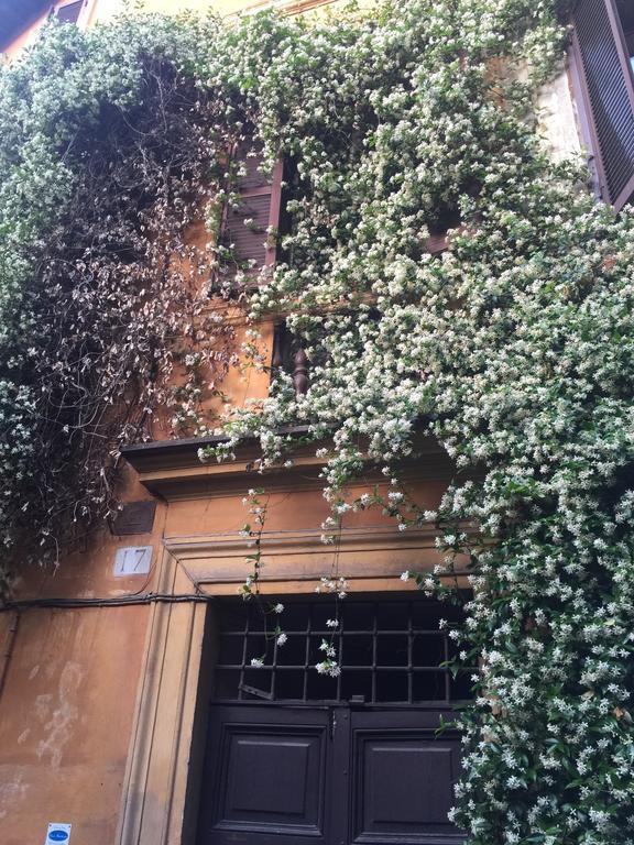Mgpgroup Navona 2 * Rom
